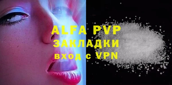 молекула духа Осташков