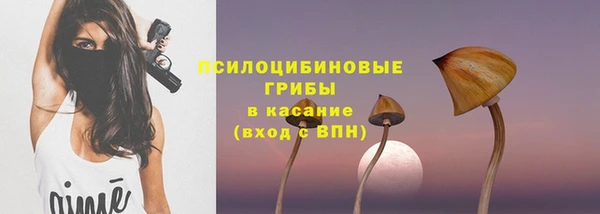 молекула духа Осташков