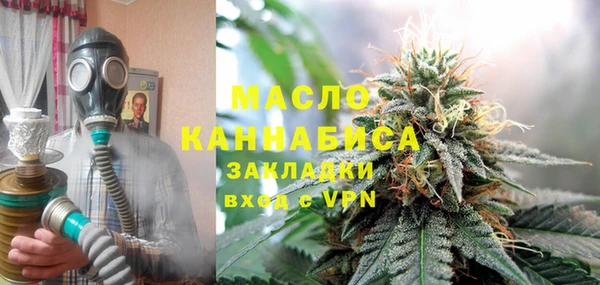 молекула духа Осташков