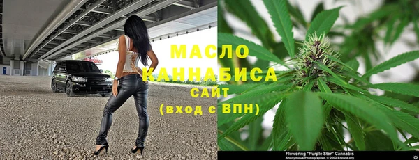 молекула духа Осташков