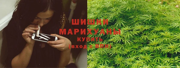 молекула духа Осташков