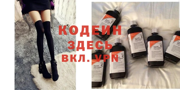 молекула духа Осташков