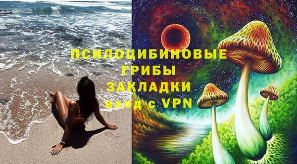 тгк Нязепетровск