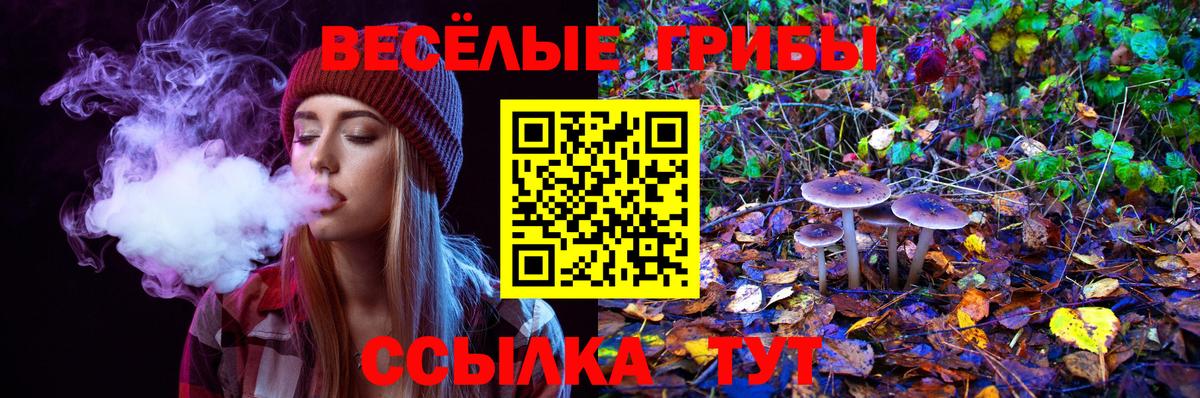 Туймазы  Псилоцибиновые грибы GOLDEN TEACHER  Вход с VPN  Галлюциногенные грибы Magic Shrooms 