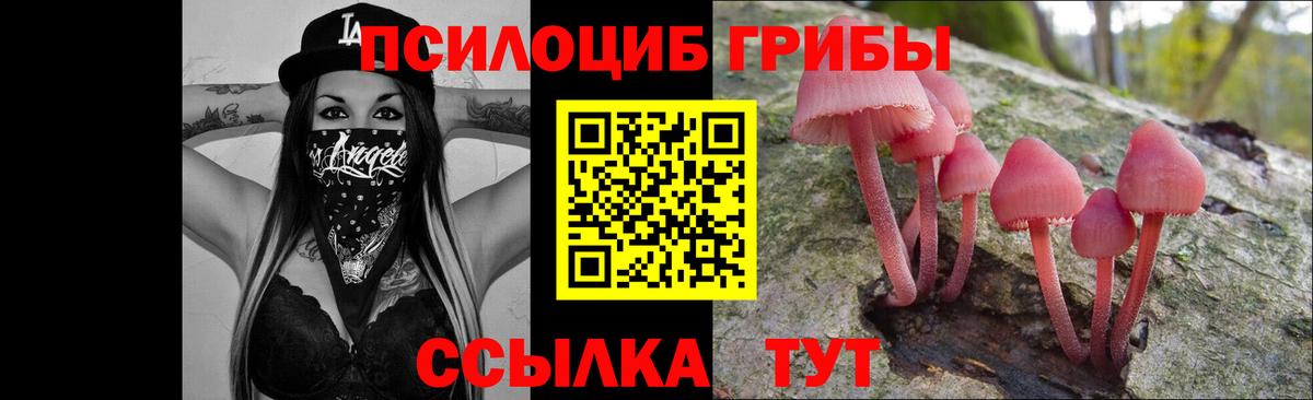 Галлюциногенные грибы прущие грибы Туймазы